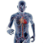 Лечение атеросклероза в Москве