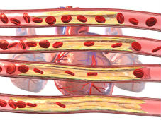 Симптомы и диагностика ишемической болезни сердца