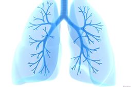 Услуги врача пульмонолога