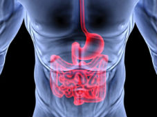 Лечение заболеваний ЖКТ